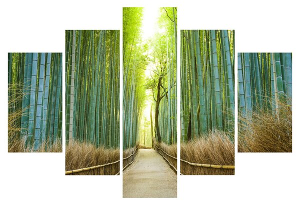 Slika - Put s bambusima (150x105 cm)