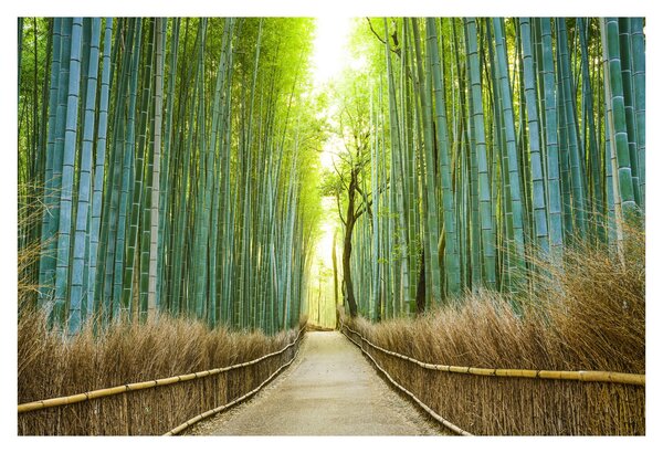 Slika - Put s bambusima (90x60 cm)