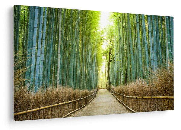 Slika - Put s bambusima (90x60 cm)
