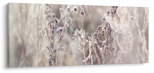 Slika - Biljka (120x50 cm)