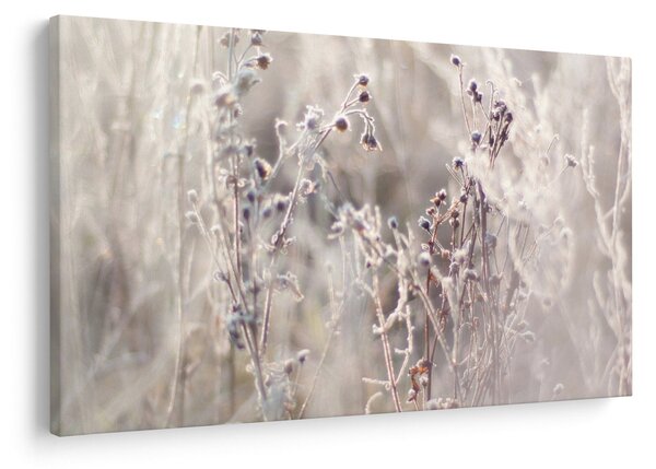 Slika - Biljka (90x60 cm)