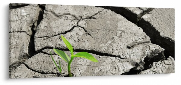 Slika - Pukotine (120x50 cm)