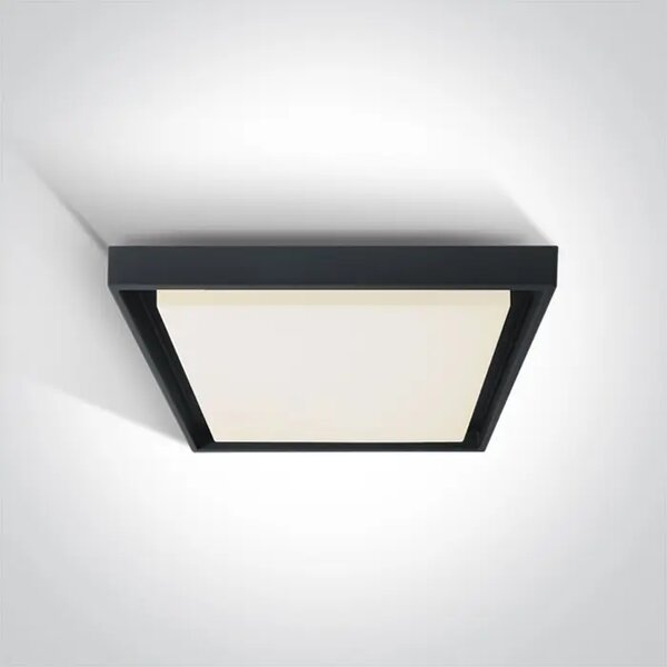 STROPNA SVJETILJKA LED 30W 2500lm IP54 CRNA DM67384A/AN/W