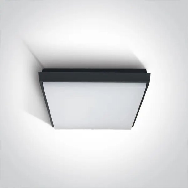 PLAFONJERA LED/20W/1600lm/3000K/230V IP54 ANTRACIT DM67362A/AN/W