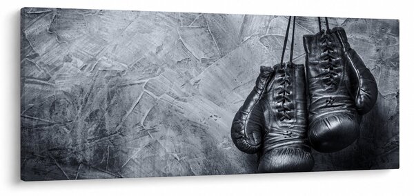 Slika - Rukavice za boks (120x50 cm)