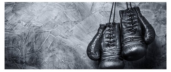 Slika - Rukavice za boks (120x50 cm)