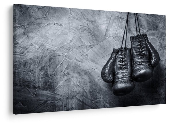 Slika - Rukavice za boks (90x60 cm)
