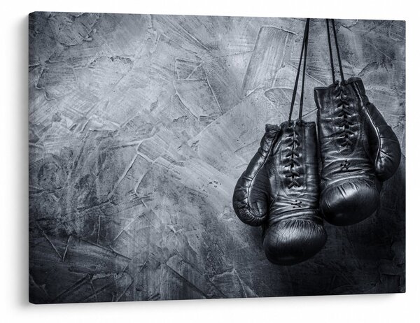 Slika - Rukavice za boks (70x50 cm)