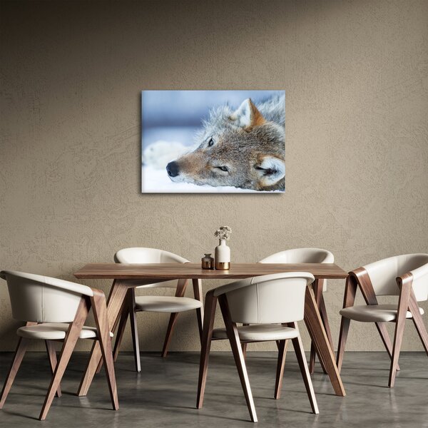 Slika - Vuk (70x50 cm)