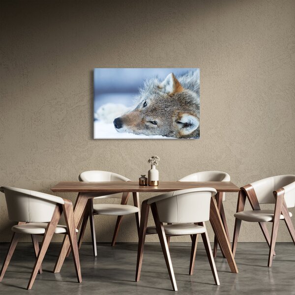 Slika - Vuk (90x60 cm)