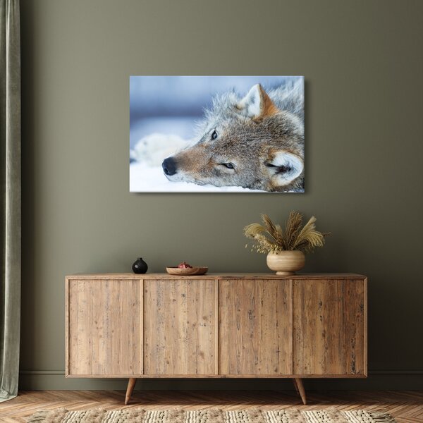 Slika - Vuk (90x60 cm)