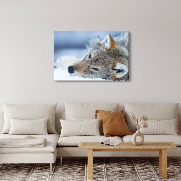 Slika - Vuk (90x60 cm)