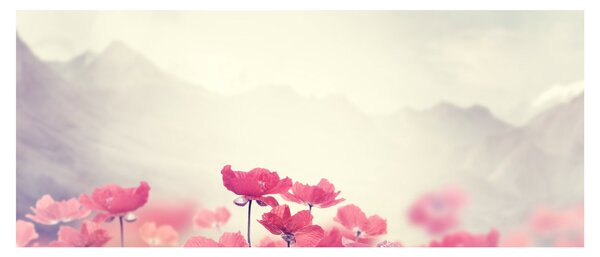Slika - Makovi (120x50 cm)