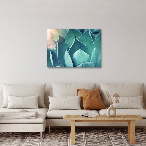 Slika - Sukulent (70x50 cm)