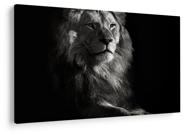 Slika - Lav (90x60 cm)