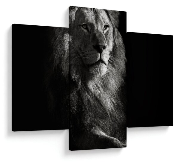Slika - Lav (90x60 cm)