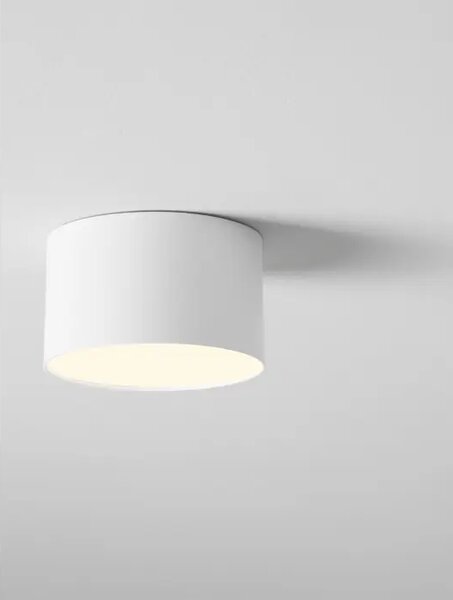 LULDO STROPNA SVJETILJKA LED/3000K/10W/588Lm/BIJELA NL9030725