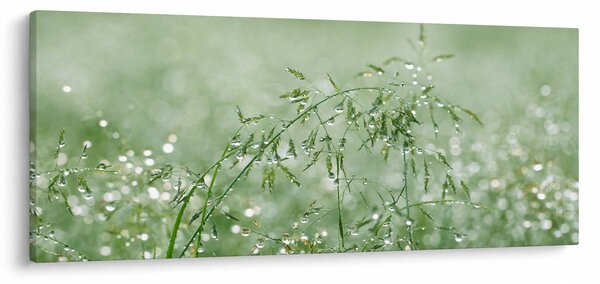 Slika - Rosa u travi (120x50 cm)