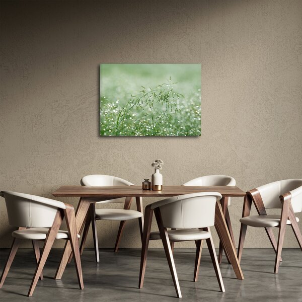 Slika - Rosa u travi (70x50 cm)
