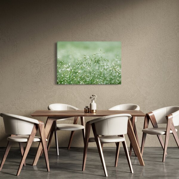 Slika - Rosa u travi (90x60 cm)