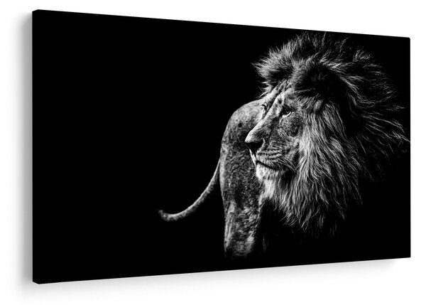 Slika - Lav (90x60 cm)