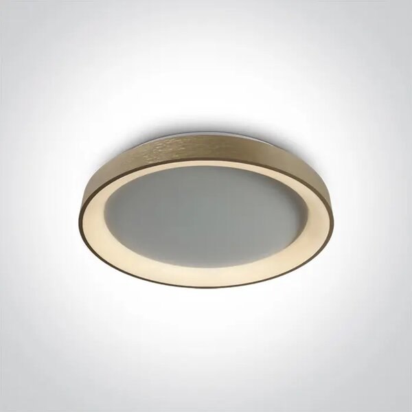 PLAFONJERA LED /30W/2700-3000-4000K/2550lm/230V MESING DM62130L/BGL/V