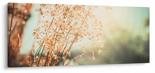 Slika - Livadne biljke (120x50 cm)