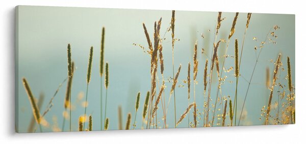 Slika - Trenutak na livadi (120x50 cm)