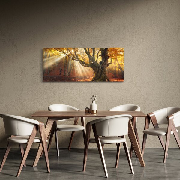 Slika - Jesenje svjetlo (120x50 cm)