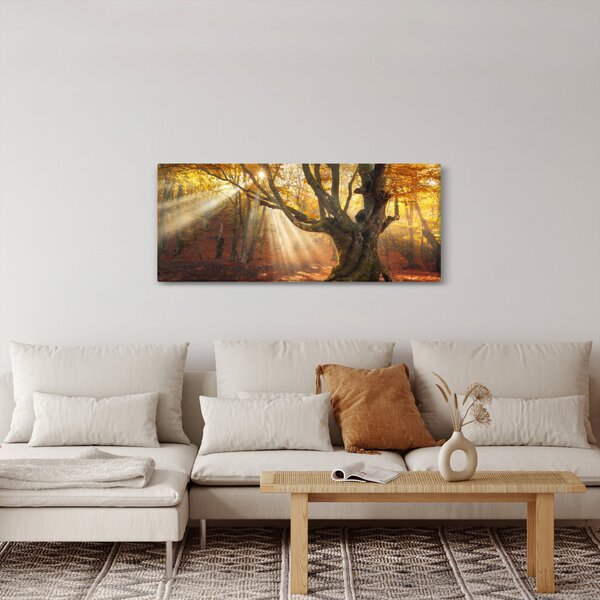 Slika - Jesenje svjetlo (120x50 cm)