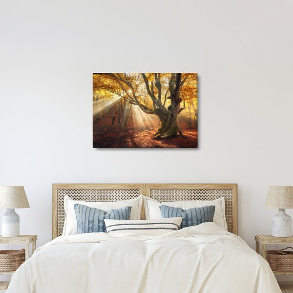 Slika - Jesenje svjetlo (70x50 cm)