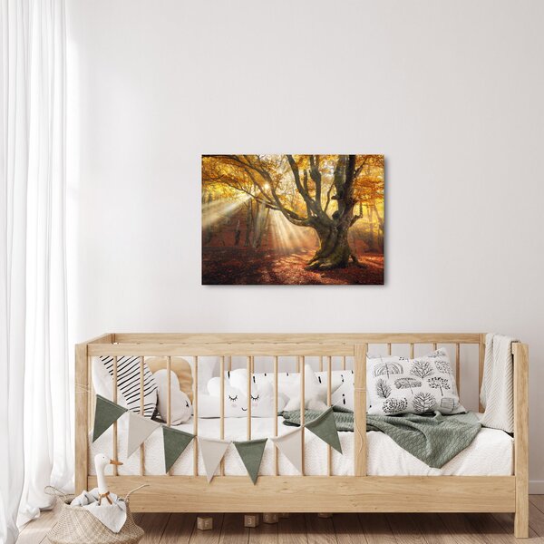 Slika - Jesenje svjetlo (70x50 cm)