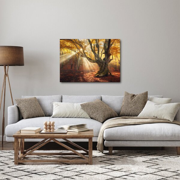 Slika - Jesenje svjetlo (70x50 cm)