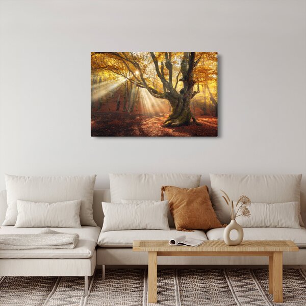 Slika - Jesenje svjetlo (90x60 cm)