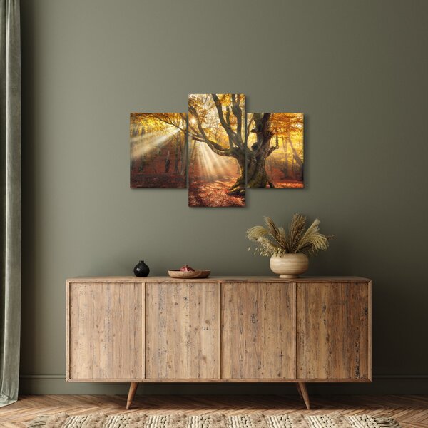 Slika - Jesenje svjetlo (90x60 cm)