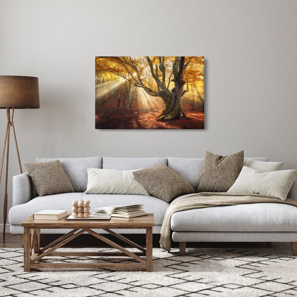 Slika - Jesenje svjetlo (90x60 cm)