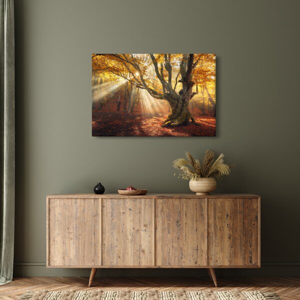 Slika - Jesenje svjetlo (90x60 cm)