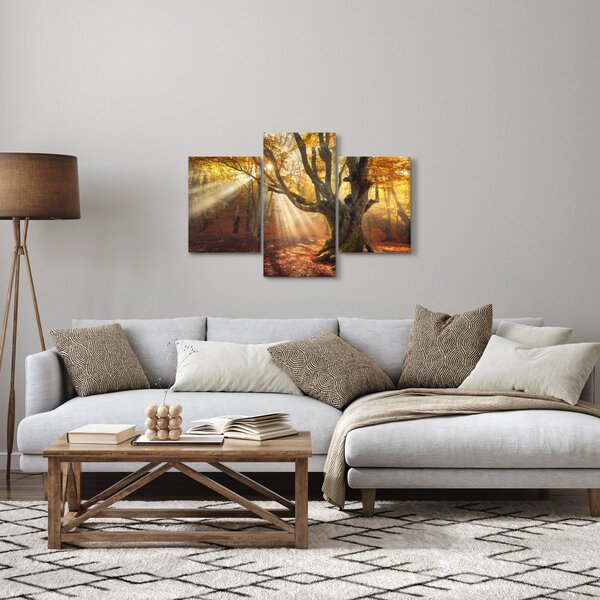 Slika - Jesenje svjetlo (90x60 cm)