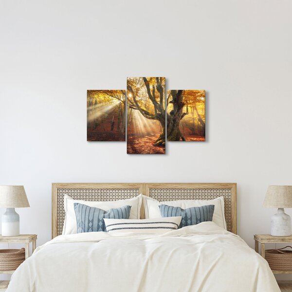 Slika - Jesenje svjetlo (90x60 cm)