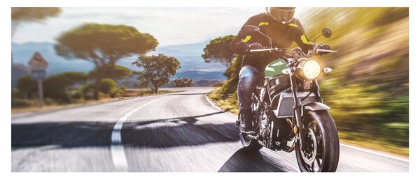 Slika - Biker (120x50 cm)