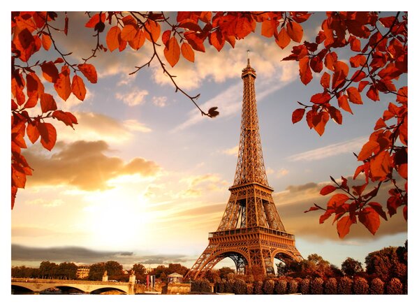 Slika - Pariz (70x50 cm)