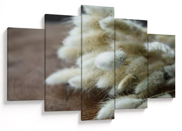 Slika - Zekin rep (150x105 cm)