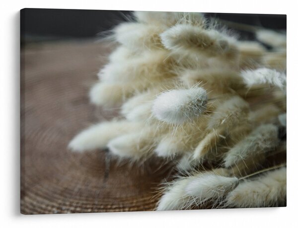 Slika - Zekin rep (70x50 cm)