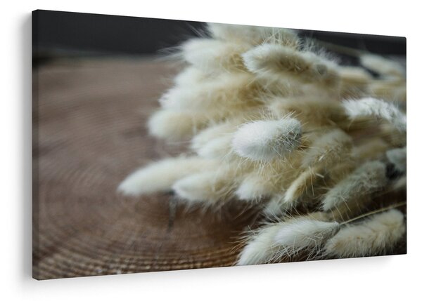Slika - Zekin rep (90x60 cm)