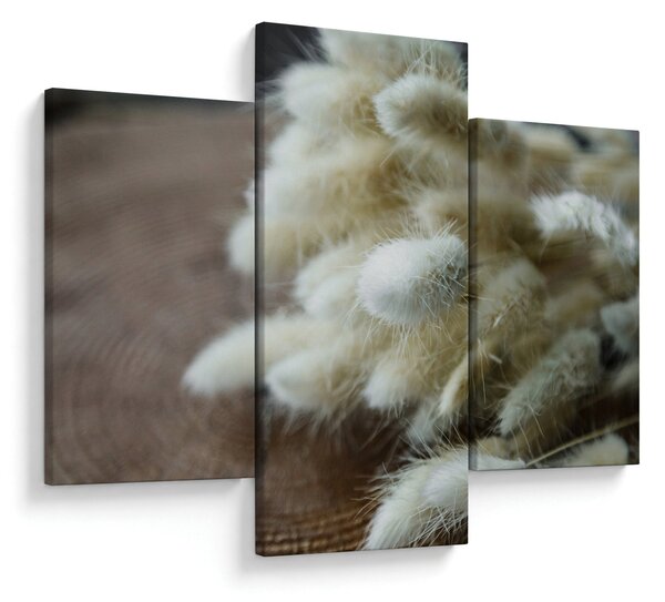 Slika - Zekin rep (90x60 cm)
