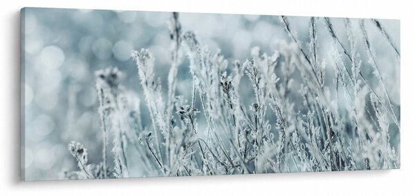 Slika - Zimska čarolija (120x50 cm)