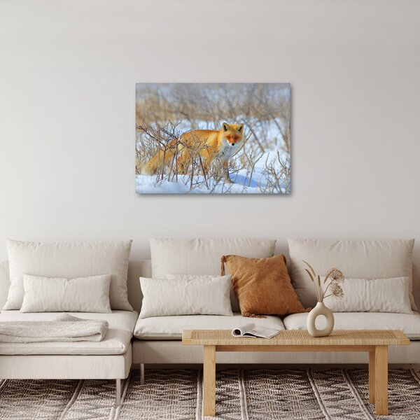 Slika - Lisac (70x50 cm)