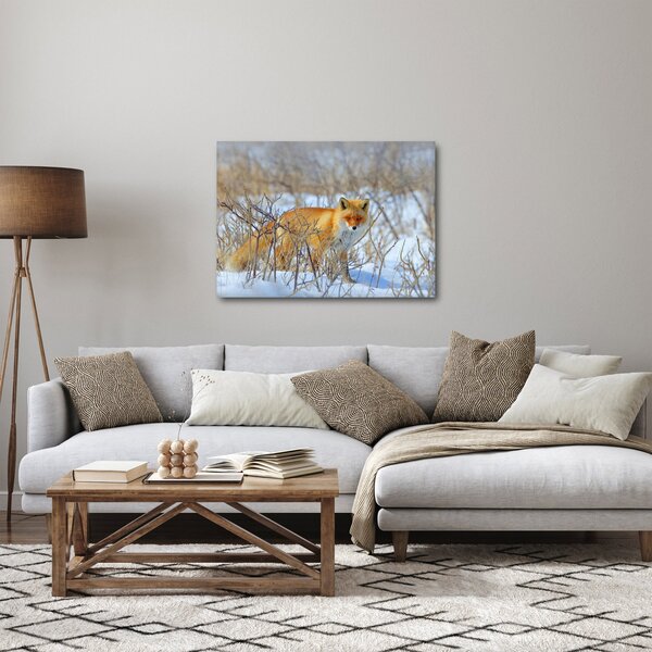 Slika - Lisac (70x50 cm)