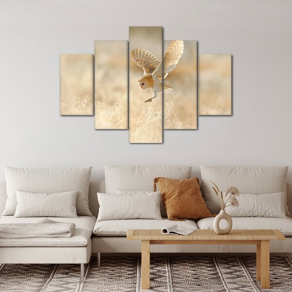 Slika - Sova (150x105 cm)