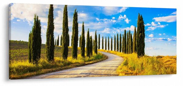 Slika - Pejzaž (120x50 cm)